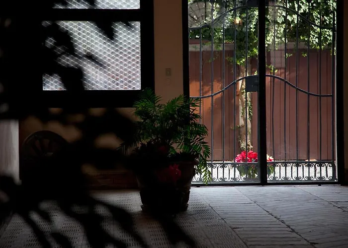 B&B Le Cavallini Sgarbi Di Rina Cavallini